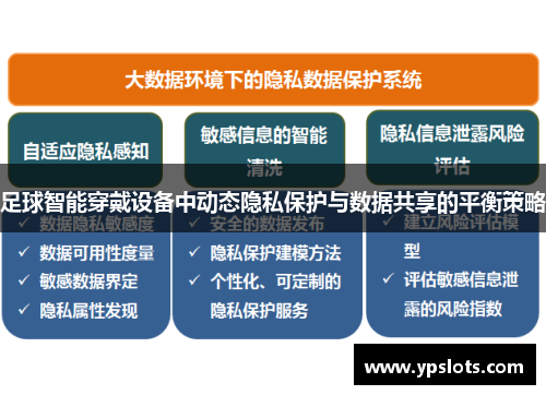 足球智能穿戴设备中动态隐私保护与数据共享的平衡策略